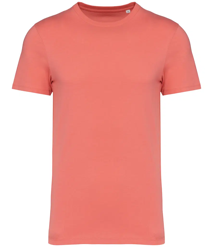 Native Spirit Unisex Heavyweight T-Shirt